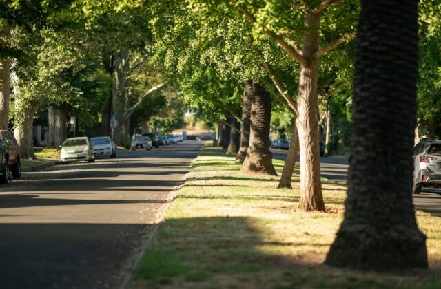 Cars parked along a quiet city street after light traffic
