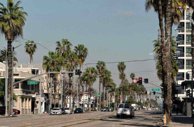 Wide boulevard in Reseda with palm trees, storefronts and afternoon traffic in the San Fernando Valley