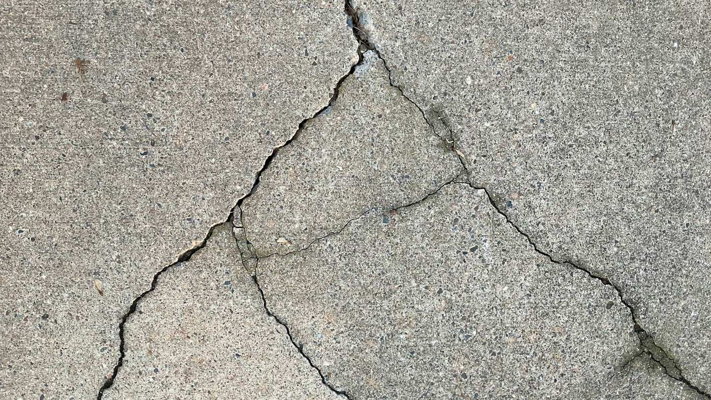 Concrete sidewalk lifted and cracked by tree roots on a residential street